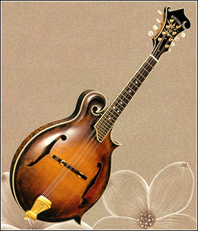 mandolin1